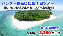 日本では味わうことのできない、手付かずの自然を満喫!!バンブー島＆ピピ島ツアー