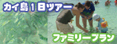 カイ島1日ツアーのファミリープロモーション