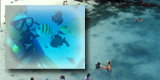 �J�C���_�C�r���O�c�A�[