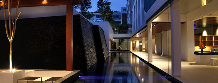 �U�E�i�b�v �p�g�� / The Nap Patong