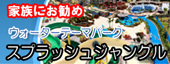 思いっきり遊ぼう!! スプラッシュ ジャングル ウォーターパーク