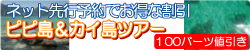 ネット先行予約でお得な割引です。ピピ島を満喫しましょう