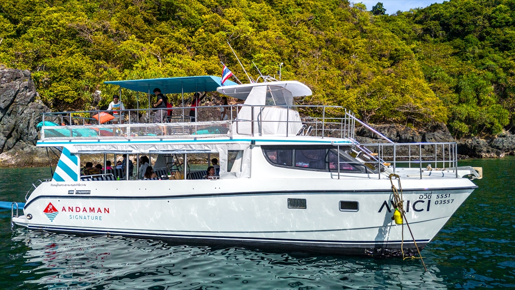 Coral Banana パワーカタマラン