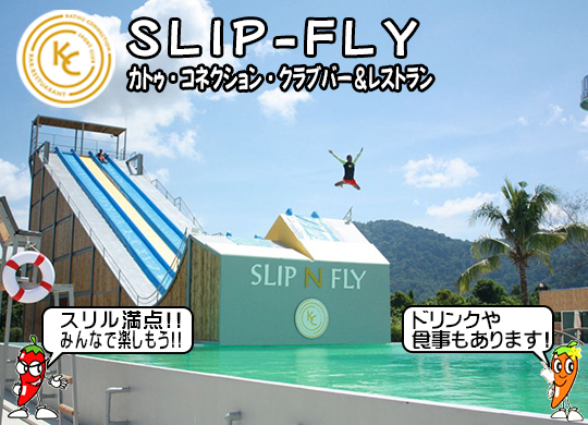 Slip-Fly (JgDERlNVENuo[Xg)