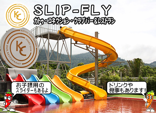 Slip-Fly (JgDERlNVENuo[Xg)