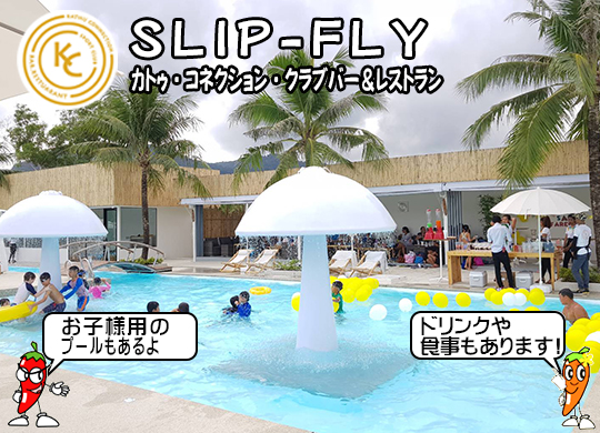 Slip-Fly (JgDERlNVENuo[Xg)