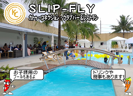 Slip-Fly (JgDERlNVENuo[Xg)