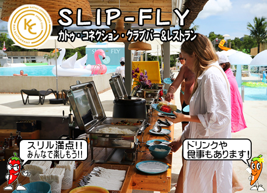 Slip-Fly (JgDERlNVENuo[Xg)