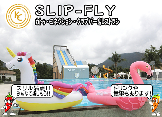 Slip-Fly (JgDERlNVENuo[Xg)