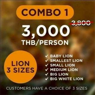 コンボ1 - 6種類のライオンから3つチョイス