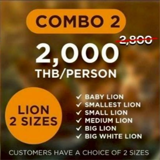 コンボ2 - 6種類のライオンから2つチョイス