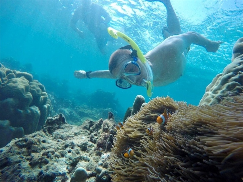 カタマランで行く ピピ島+バンブー島+マイトン島ツアー