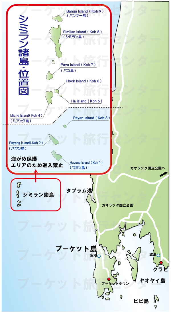 シミラン諸島1日ツアー