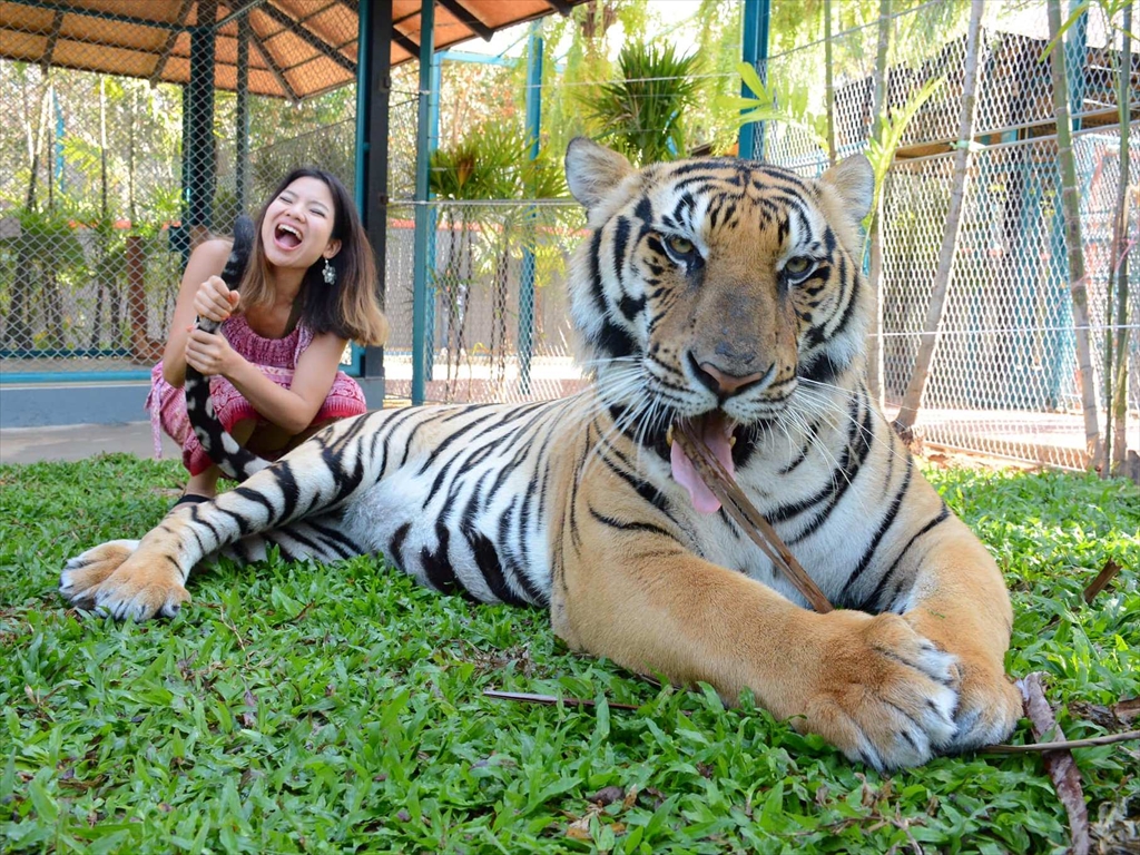 タイガー パーク プーケット