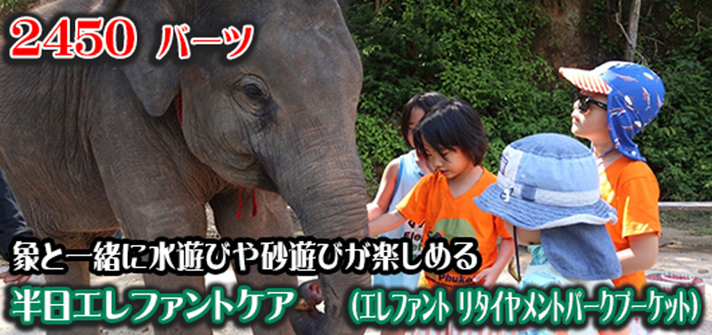 Elephant Retirement Park Phuket / Gt@g ^Cg p[N v[Pbg