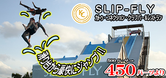 Slip-Fly (JgDERlNVENuo[Xg)