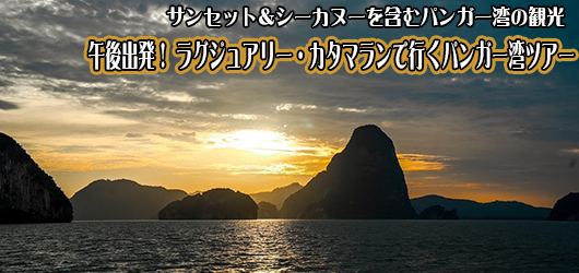 昼出発ラグジュアリーカタマラン船でゆくパンガー湾ツアー