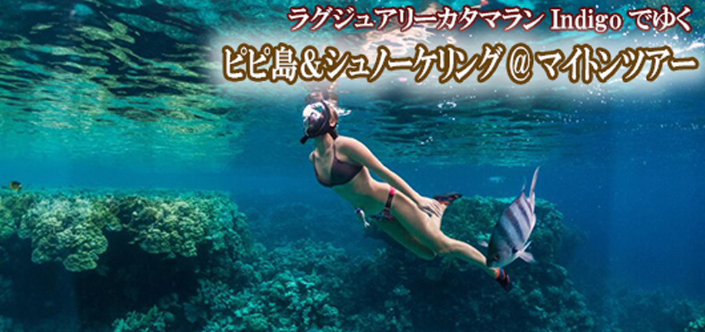 ラグジュアリーカタマランIndigoでゆくピピ島&シュノーケリング@マイトンツアー