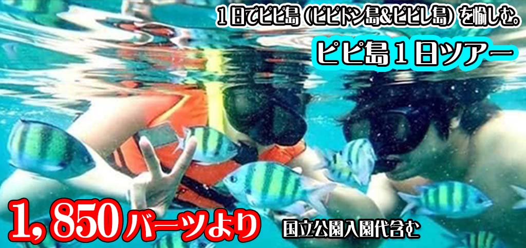 ピピ島1日ツアー(カイ島なし)