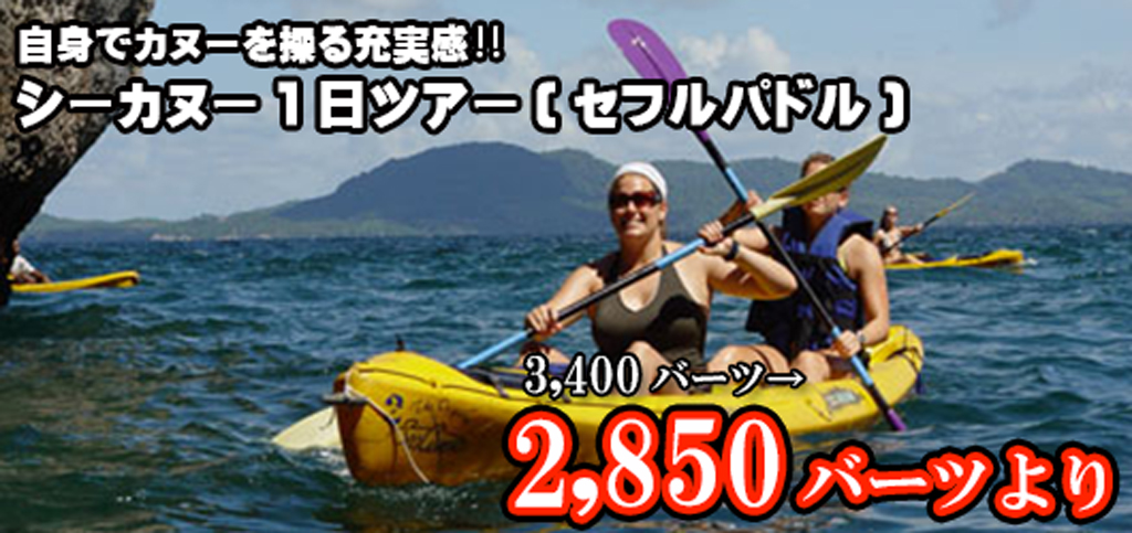 シーカヌー1日ツアー ( セルフパドリング )