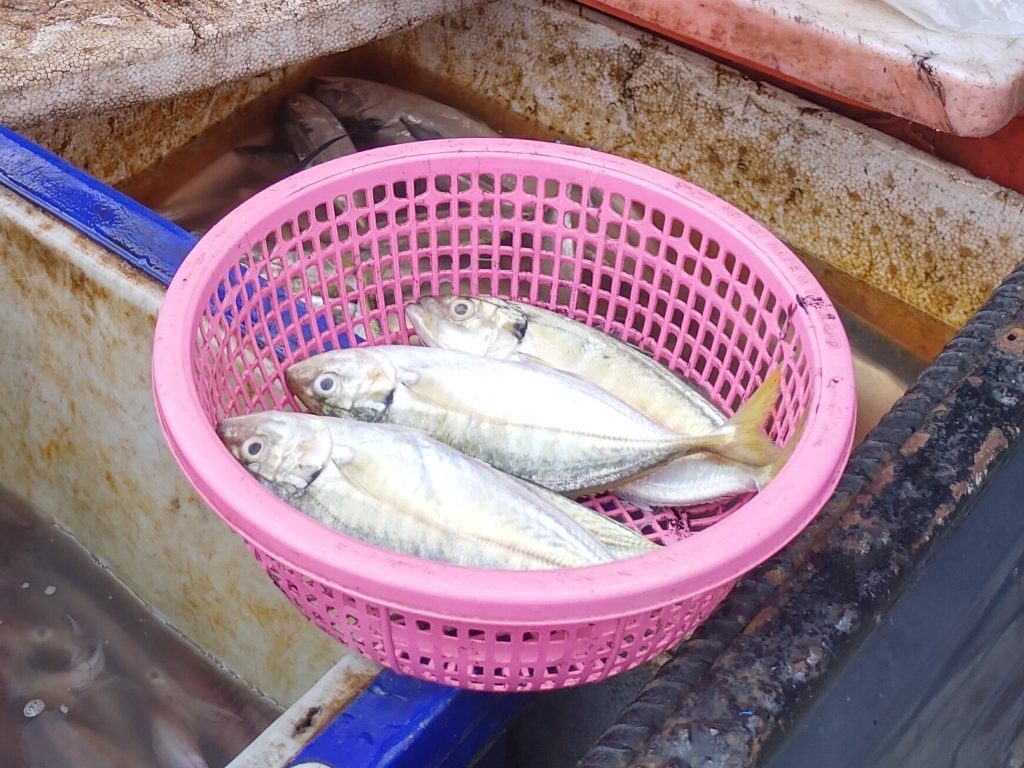 プーケット島のローカルエリアにて見かける鮮魚の行商 ( 移動販売車にて )