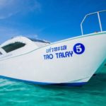 カタマラン(双胴船)でゆくシミラン島ツアー