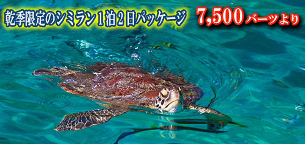 シミラン諸島宿泊パッケージツアーのご案内&受付開始 (10月15日より催行スタート)