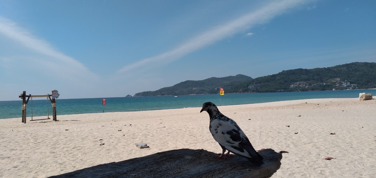 プーケット島・パトンビーチ・最近の風景