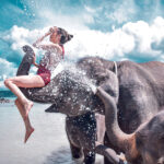 エレファントスイム