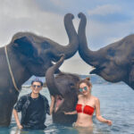 エレファントスイム