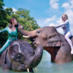 エレファントスイム