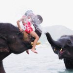 エレファントスイム