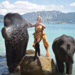 エレファントスイム