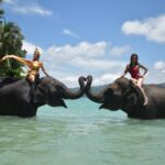 エレファントスイム