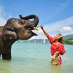 エレファントスイム