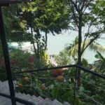 エレファントスイム