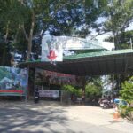 エレファントスイム