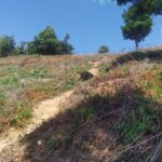 本当は秘密にしたい場所からのプロムテープ岬の絶景