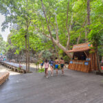 ピピ島・マヤベイのご案内について(現在、スピードボート利用のツアーは、マヤベイの上陸をご案内しております。)