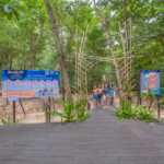 ピピ島・マヤベイのご案内について(現在、スピードボート利用のツアーは、マヤベイの上陸をご案内しております。)