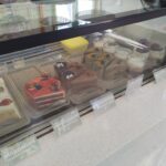 ラガ コーヒー / Raga Coffee (ระกา คอฟฟี่) / ラワイビーチのレストラン