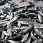 プーケット島・ChaoFa Road・ローカルマーケット最近の風景