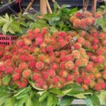 プーケット島内で見かけたフルーツの移動販売