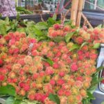 プーケット島内で見かけたフルーツの移動販売