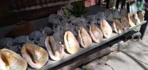 最近のラワイ シーフードマーケット ( RAWAI SEAFOOD MARKET)の風景