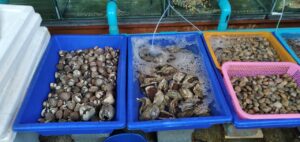 最近のラワイ シーフードマーケット ( RAWAI SEAFOOD MARKET)の風景