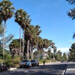 プーケット島・カロンビーチの最近の街並み