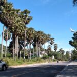 プーケット島・カロンビーチの最近の街並み