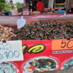 プーケットタウンにある貝の露店