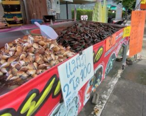 プーケットタウンにある貝の露店